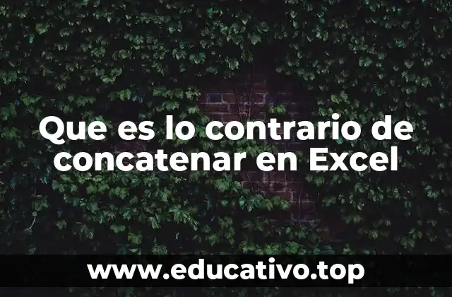 Que es lo contrario de concatenar en Excel