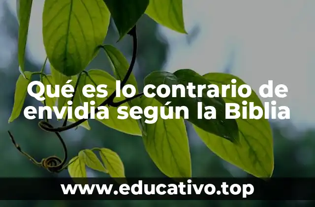 Las enseñanzas bíblicas sobre la gratitud y la alegría