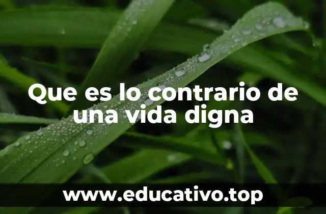 Que es lo contrario de una vida digna