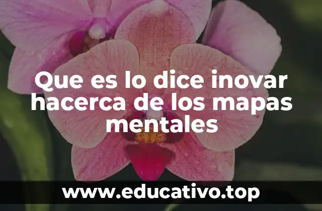 Que es lo dice inovar hacerca de los mapas mentales
