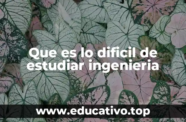 Los retos más comunes en el camino de un ingeniero en formación