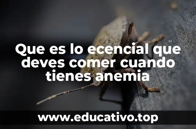 Que es lo ecencial que deves comer cuando tienes anemia