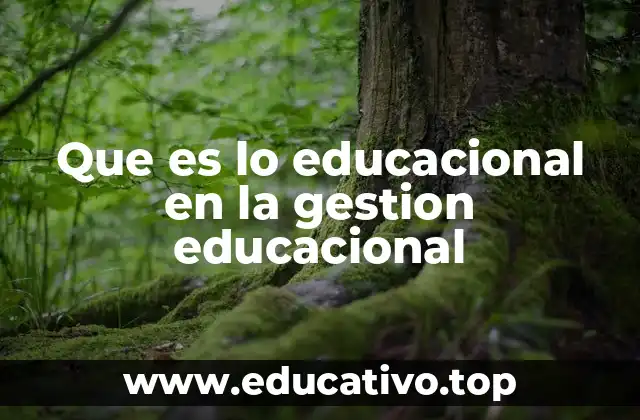 La importancia del enfoque educacional en la gestión escolar