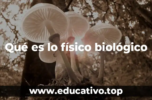 La conexión entre el cuerpo humano y las leyes de la naturaleza