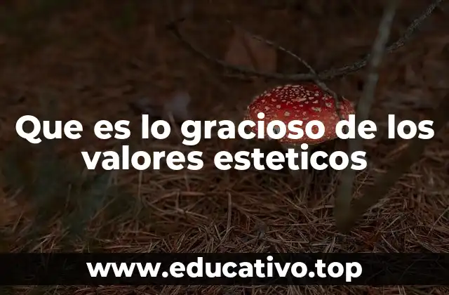 Que es lo gracioso de los valores esteticos
