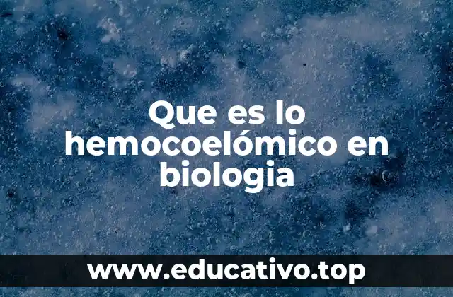 Que es lo hemocoelómico en biologia