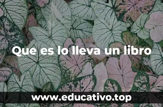 La estructura interna de un libro y su importancia