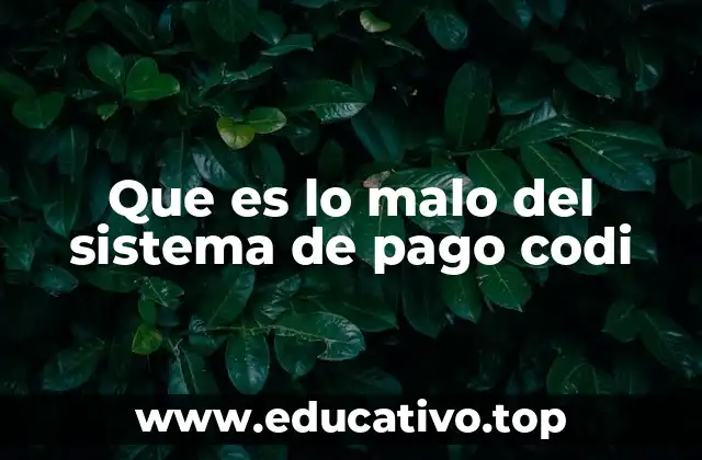 Que es lo malo del sistema de pago codi