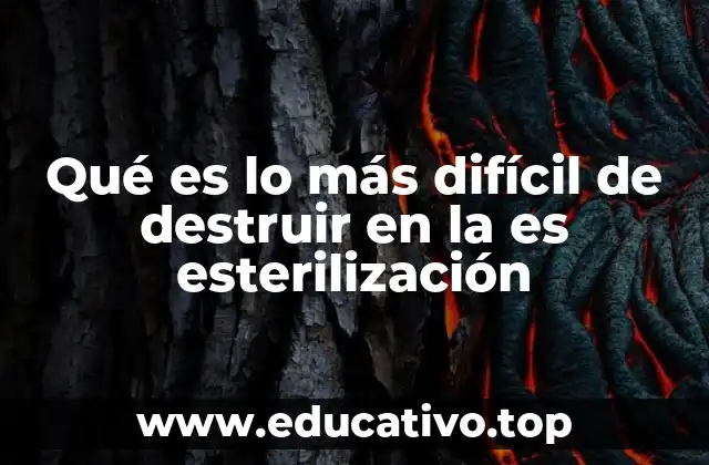 Qué es lo más difícil de destruir en la es esterilización
