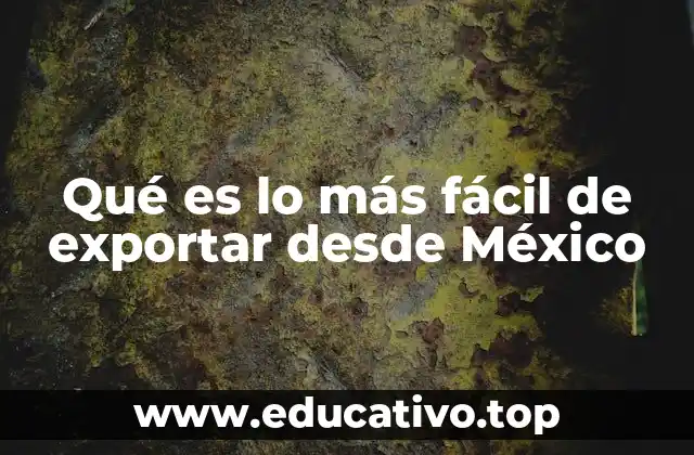 Qué es lo más fácil de exportar desde México