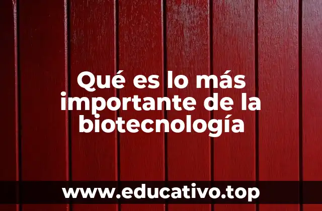 Qué es lo más importante de la biotecnología
