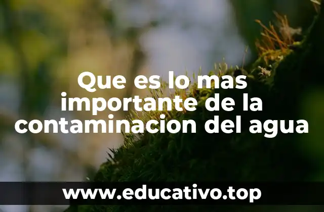 El impacto humano en la preservación del agua