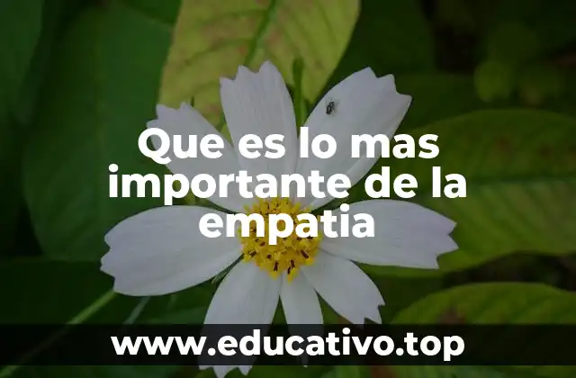 Que es lo mas importante de la empatia