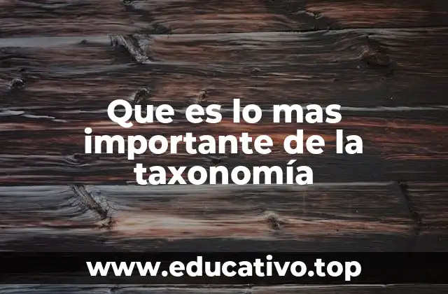 Que es lo mas importante de la taxonomía