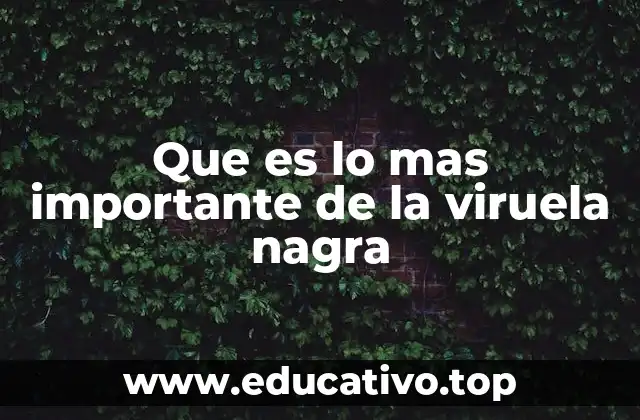 Que es lo mas importante de la viruela nagra