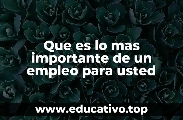 Que es lo mas importante de un empleo para usted