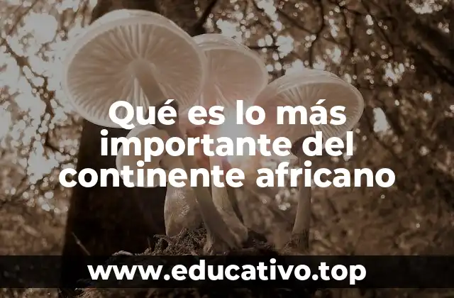 Qué es lo más importante del continente africano