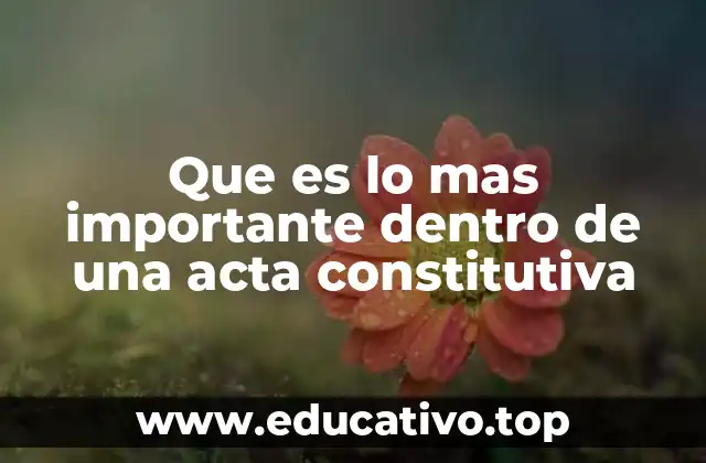 Que es lo mas importante dentro de una acta constitutiva