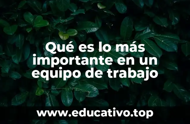Qué es lo más importante en un equipo de trabajo