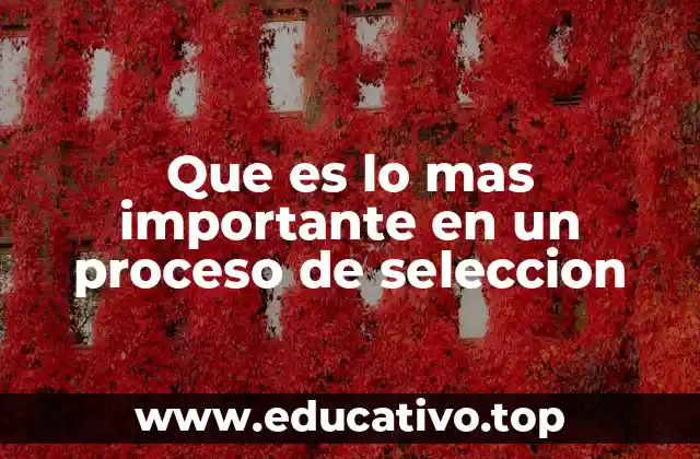 Que es lo mas importante en un proceso de seleccion