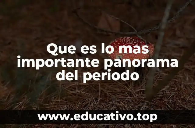 Que es lo mas importante panorama del periodo