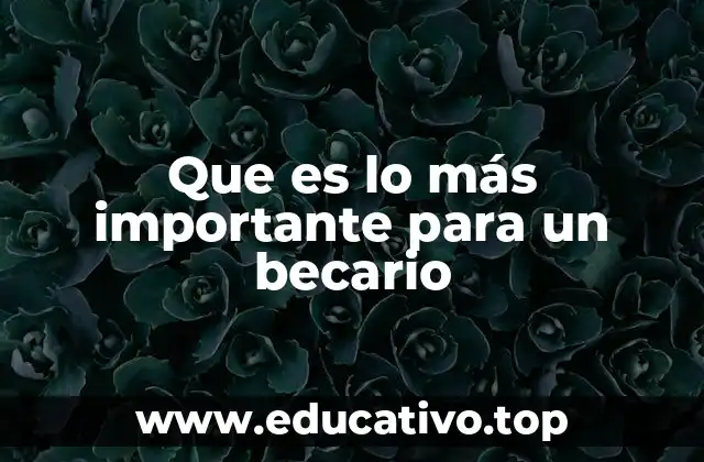 Que es lo más importante para un becario