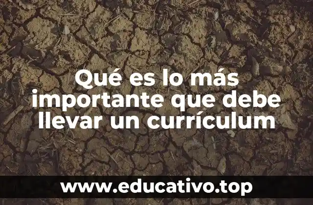 Qué es lo más importante que debe llevar un currículum