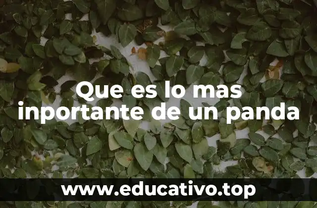 El impacto ecológico del panda