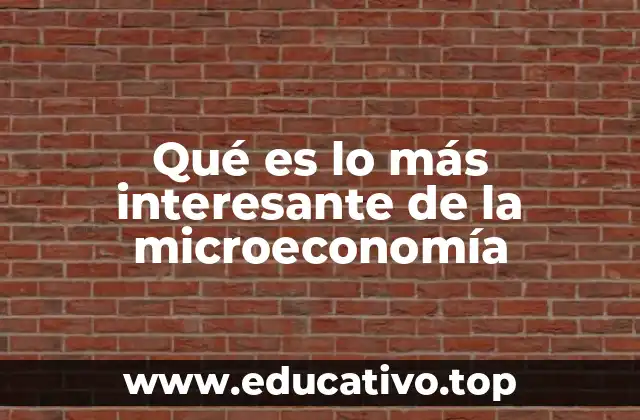 Qué es lo más interesante de la microeconomía
