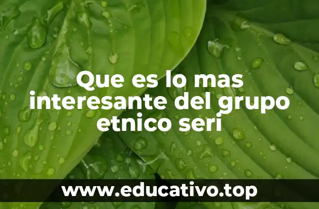 Que es lo mas interesante del grupo etnico seri