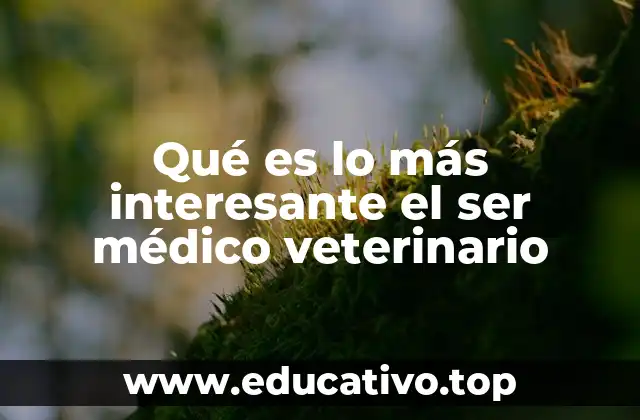 Qué es lo más interesante el ser médico veterinario