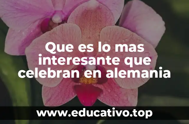 Que es lo mas interesante que celebran en alemania