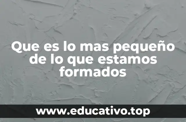 Que es lo mas pequeño de lo que estamos formados