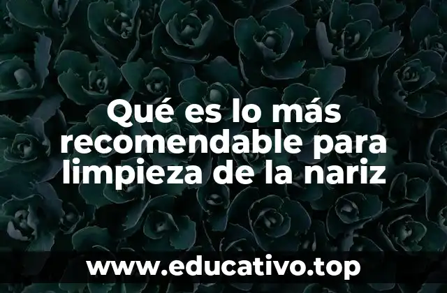 Qué es lo más recomendable para limpieza de la nariz