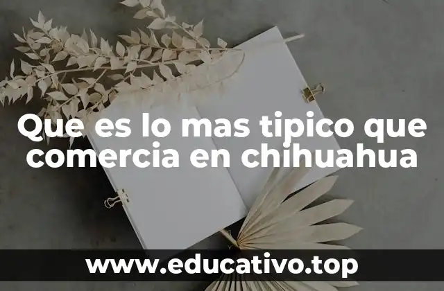 Que es lo mas tipico que comercia en chihuahua