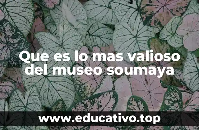 Que es lo mas valioso del museo soumaya