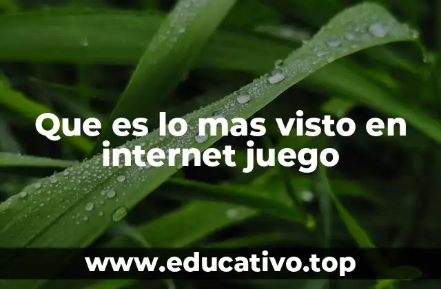 Que es lo mas visto en internet juego