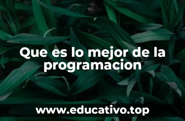 Que es lo mejor de la programacion