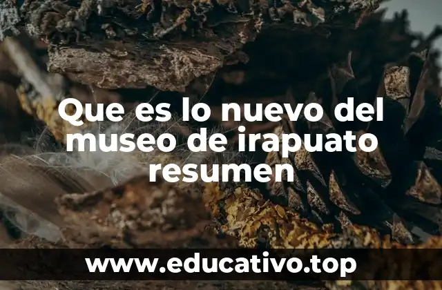 Que es lo nuevo del museo de irapuato resumen