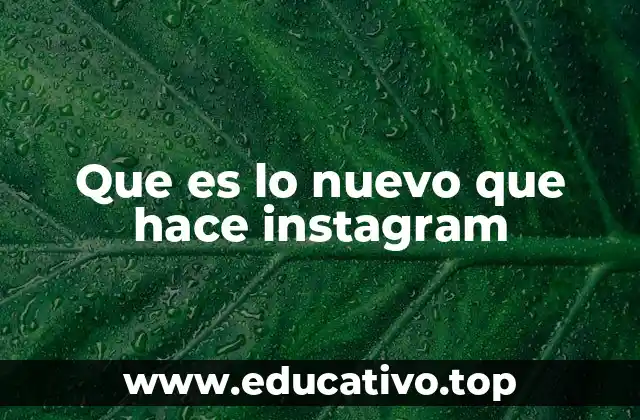 Que es lo nuevo que hace instagram