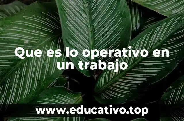 Que es lo operativo en un trabajo
