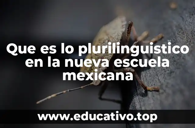 La importancia del reconocimiento lingüístico en el aula