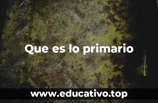Que es lo primario
