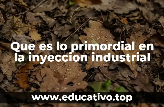 Que es lo primordial en la inyeccion industrial