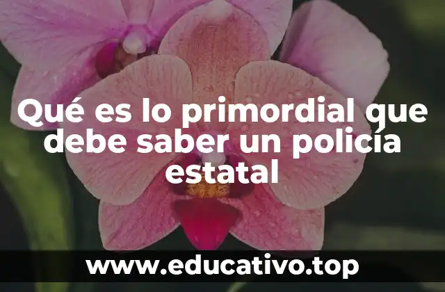Qué es lo primordial que debe saber un policía estatal