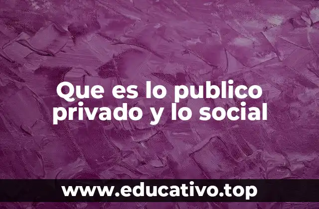 Que es lo publico privado y lo social
