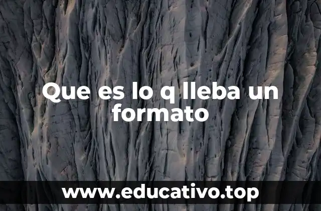 Que es lo q lleba un formato