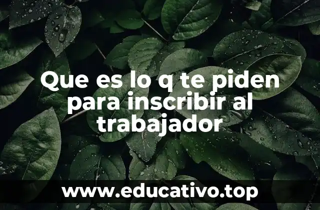 Requisitos generales para registrar a un empleado