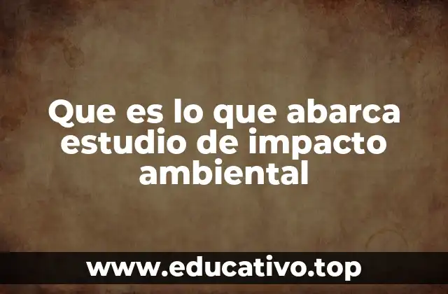Que es lo que abarca estudio de impacto ambiental