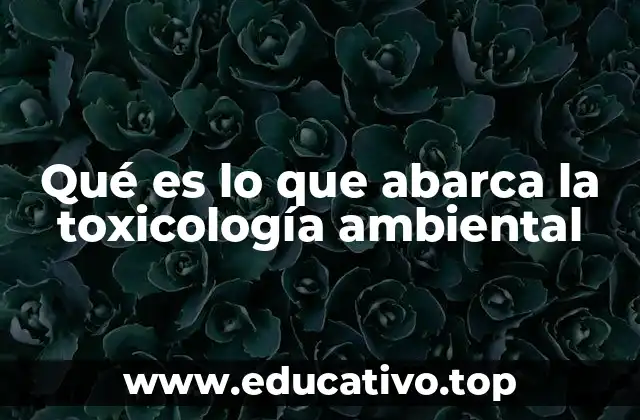 Qué es lo que abarca la toxicología ambiental